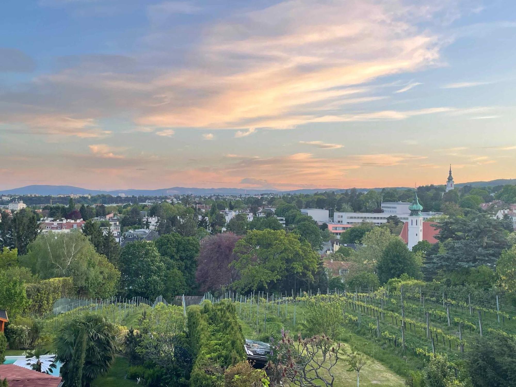 Herrlicher Ausblick Ueber Wien Εξωτερικό φωτογραφία