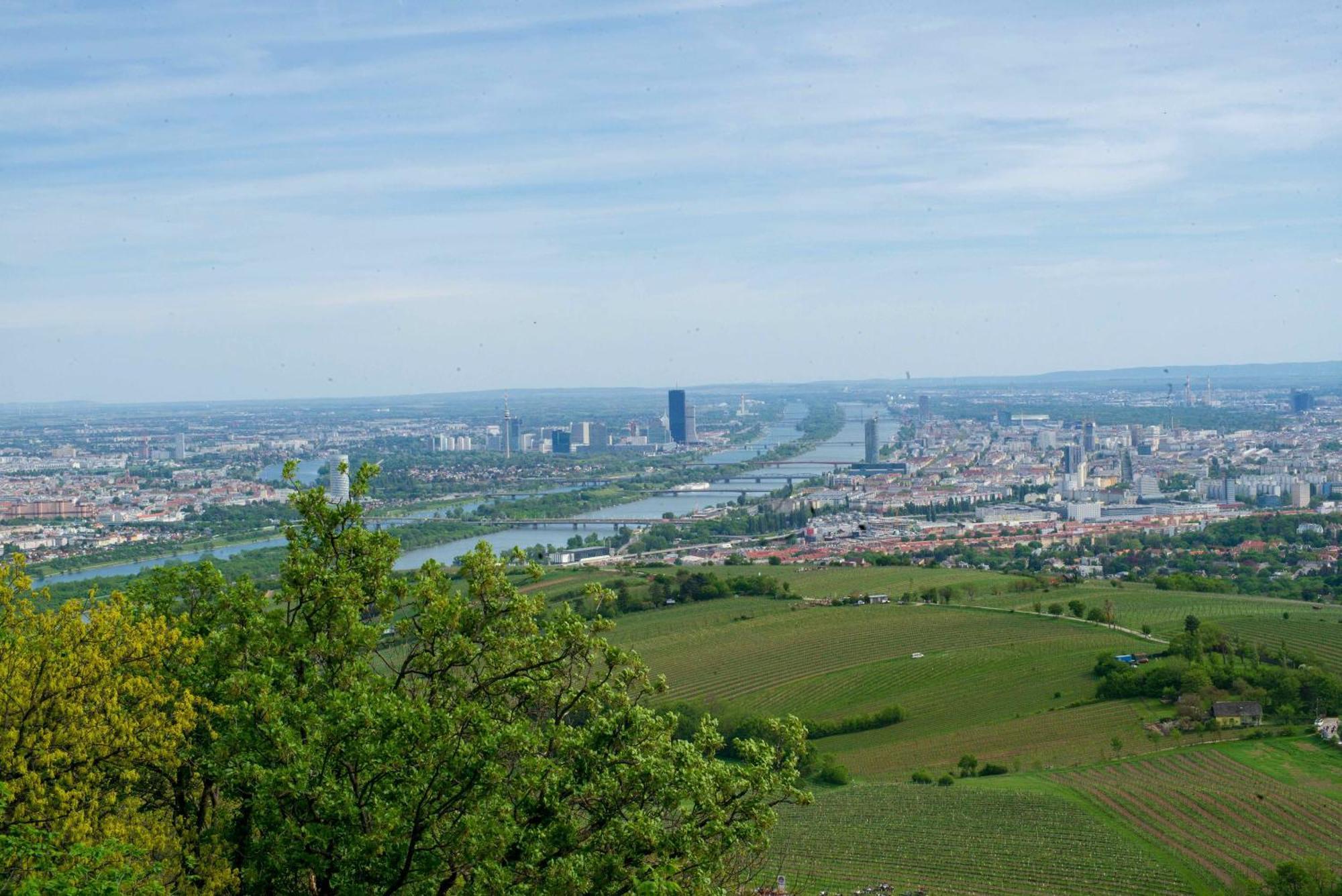 Herrlicher Ausblick Ueber Wien Εξωτερικό φωτογραφία